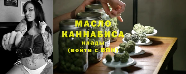 шишки Арсеньев