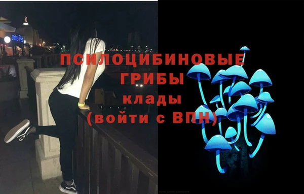 шишки Арсеньев