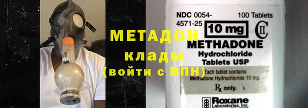 шишки Арсеньев