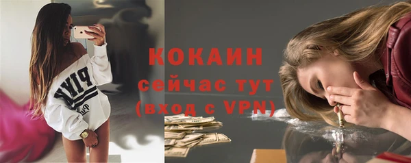 шишки Арсеньев