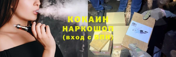 шишки Арсеньев