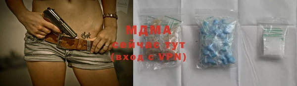 шишки Арсеньев