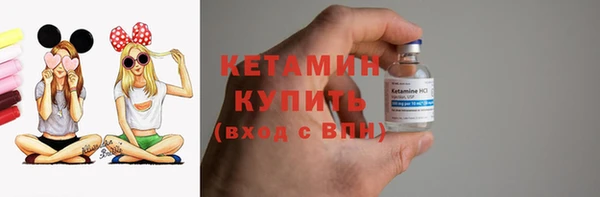 шишки Арсеньев