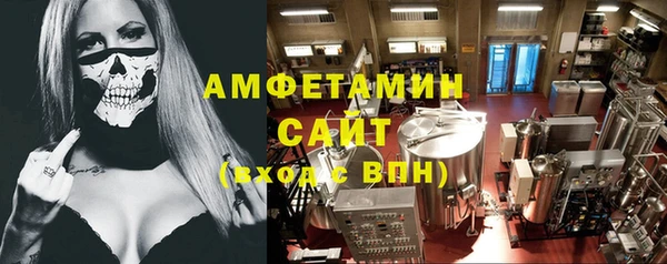 шишки Арсеньев