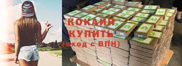 ешки Аркадак