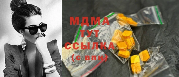 шишки Арсеньев